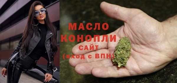 индика Пестово