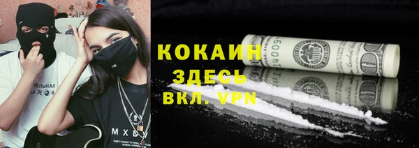 индика Пестово