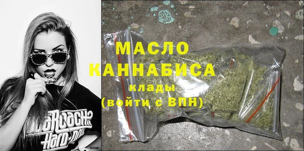 индика Пестово