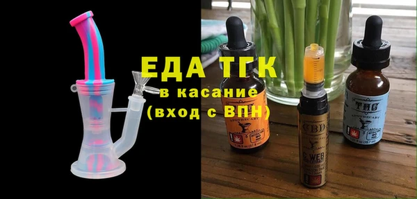 индика Пестово