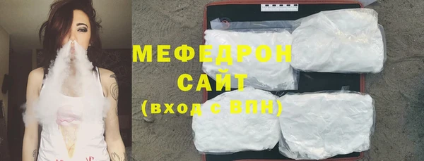 индика Пестово
