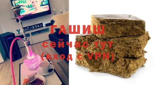 индика Пестово