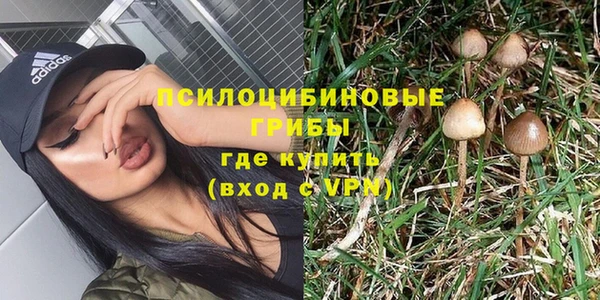 мяу мяу мука Переславль-Залесский