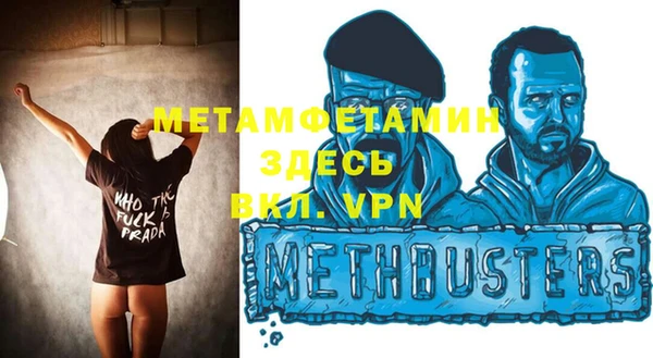 индика Пестово
