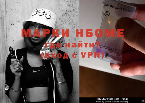индика Пестово