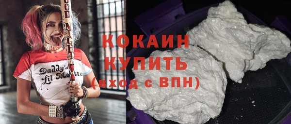 индика Пестово