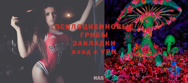 мяу мяу мука Переславль-Залесский