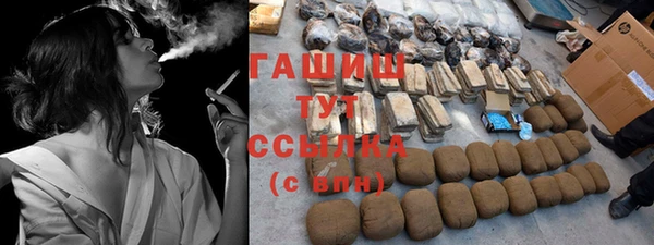 индика Пестово