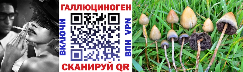 Псилоцибиновые грибы ЛСД  блэк спрут зеркало  Обнинск 