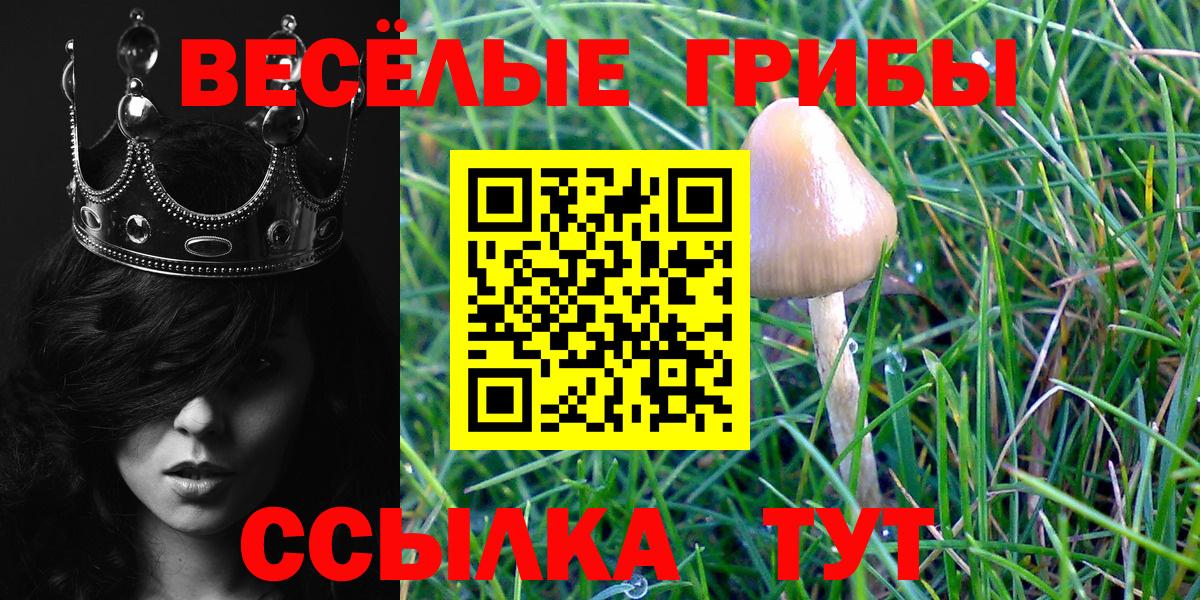 как найти закладки  Галлюциногенные грибы Magic Shrooms  Обнинск  Галлюциногенные грибы ЛСД 