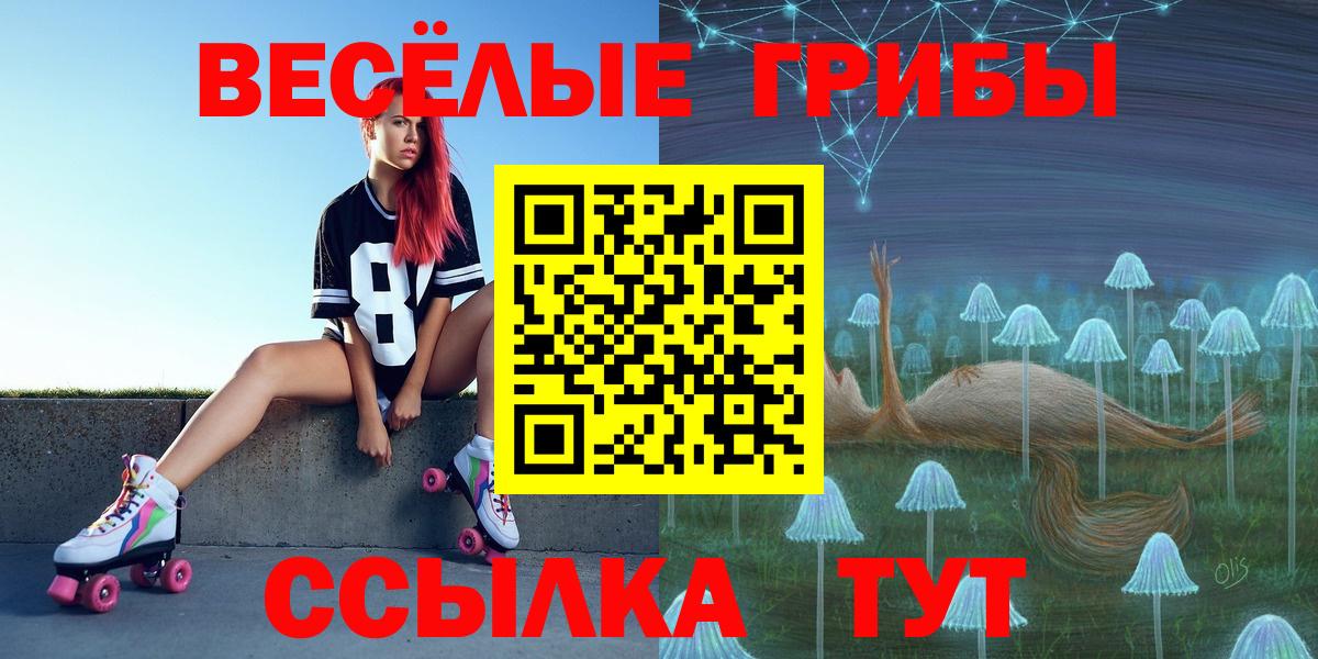 Псилоцибиновые грибы GOLDEN TEACHER Обнинск