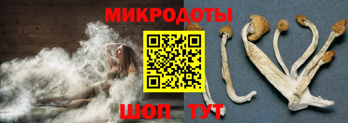 Галлюциногенные грибы мицелий Обнинск